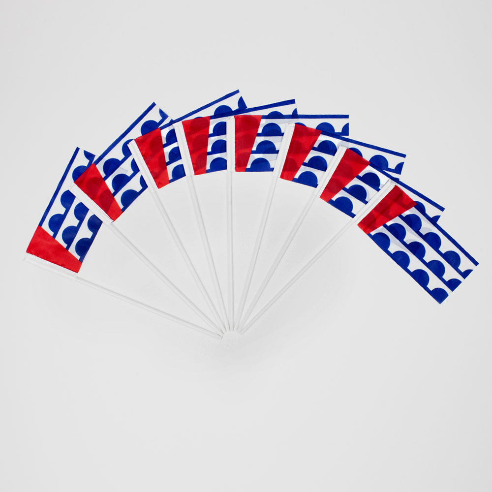 Des Moines Flag Mini Flag