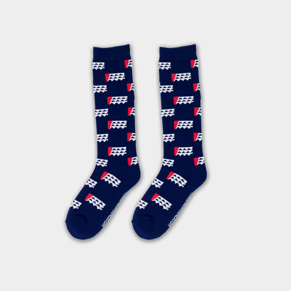 Des Moines Flag Socks